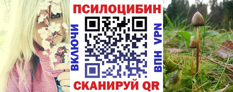 где найти наркотики  Покачи  МЕГА рабочий сайт  Галлюциногенные грибы MAGIC MUSHROOMS 